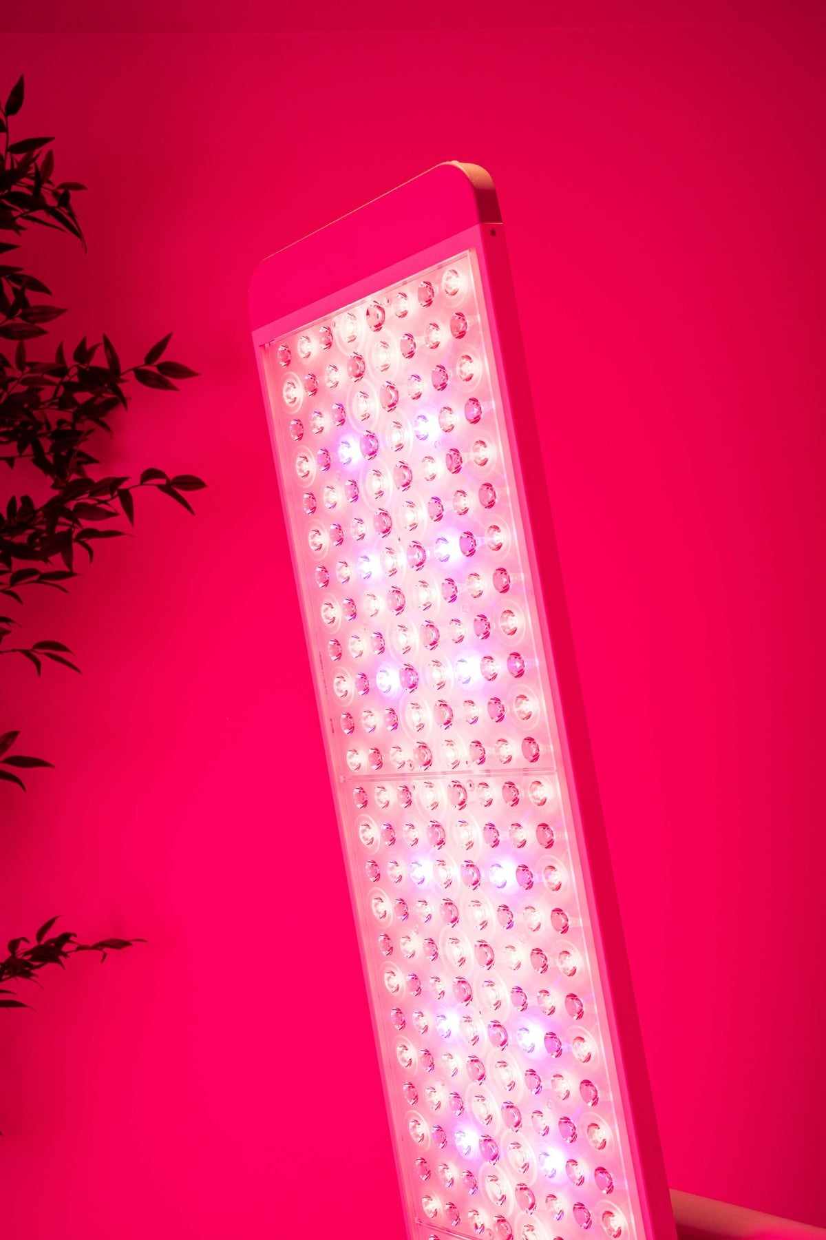 Renew Panorama Adjustable Full Body LED Panel